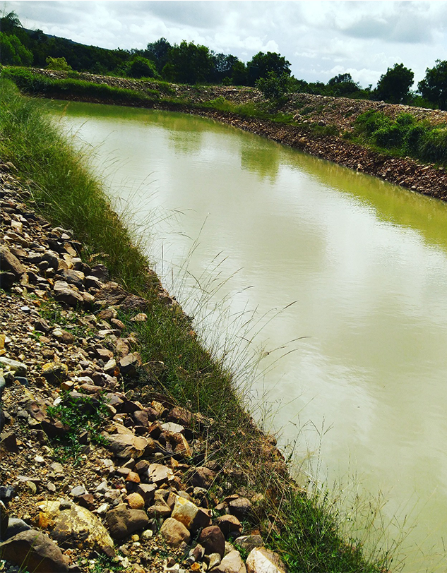 Hydroponics and Agriculture