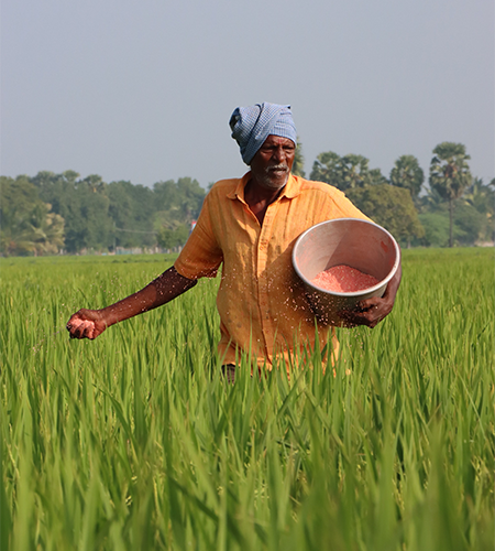 Gudiyam Agro Farm Operations